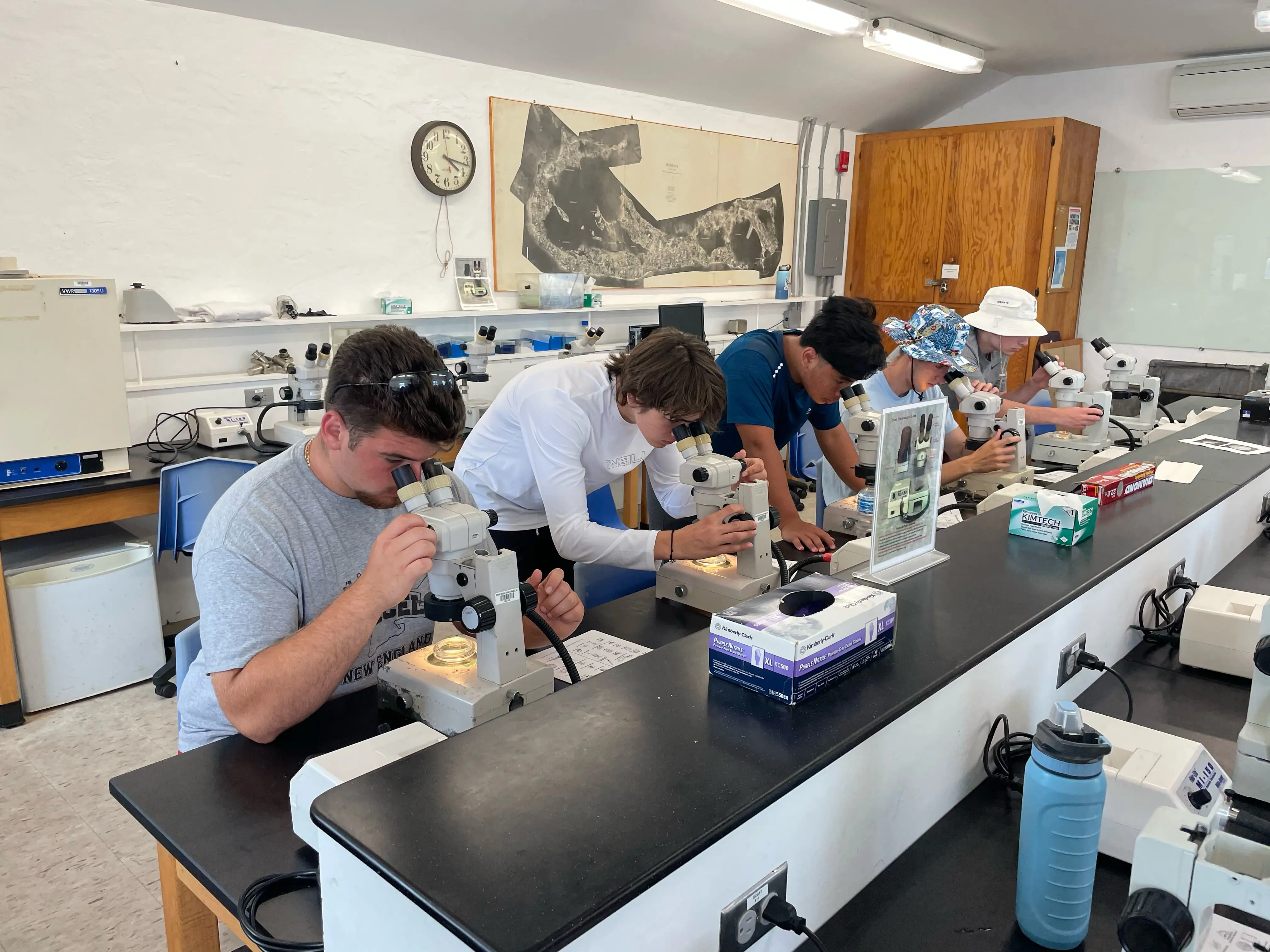 OptimizedImage,Optimized