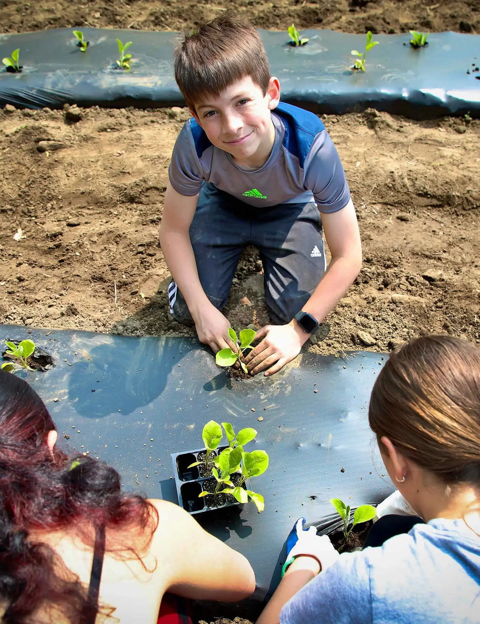 Worcester Academy Middle School Student gardening for service learning