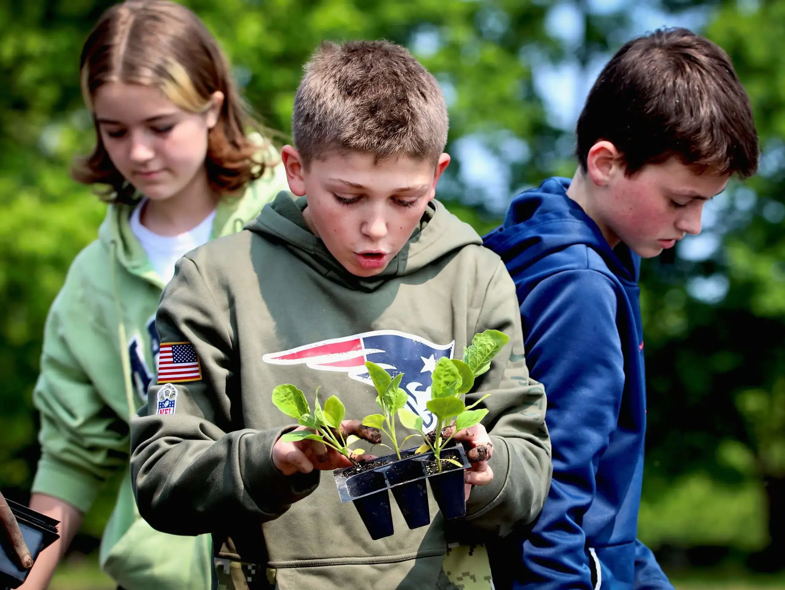 Worcester Academy Middle School student planting seedlings.