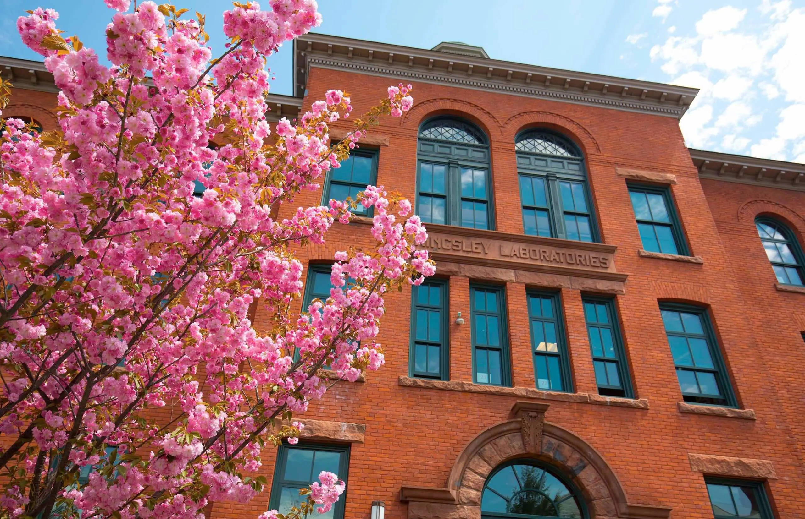 Worcester Academy school building with blossom