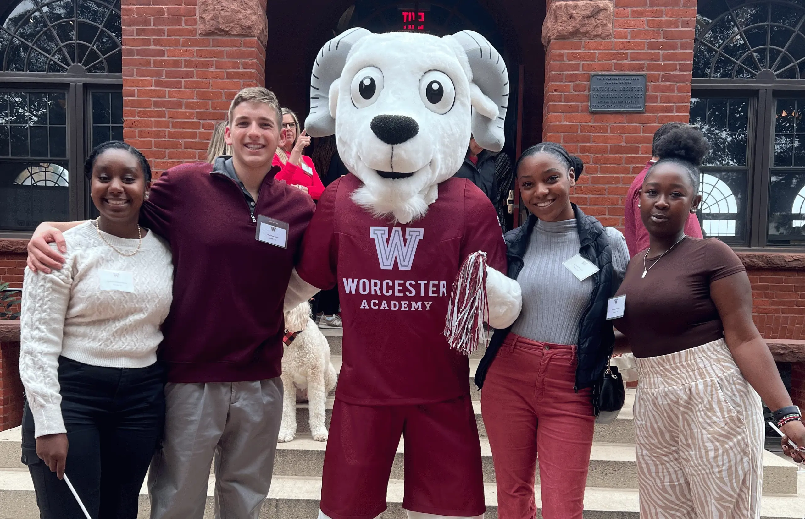 OptimizedImage,Optimized