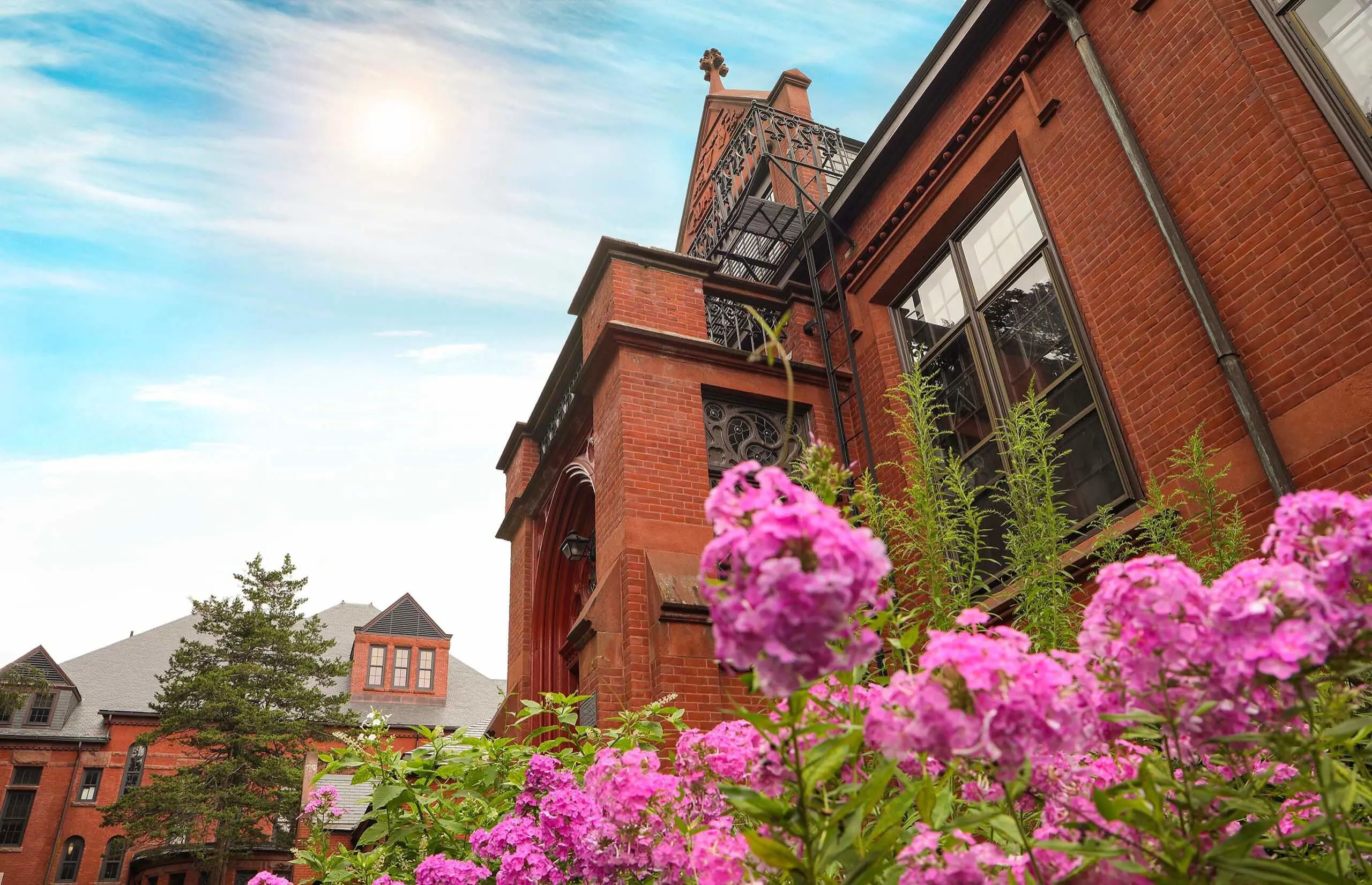 Worcester Academy view of building with pink flowers