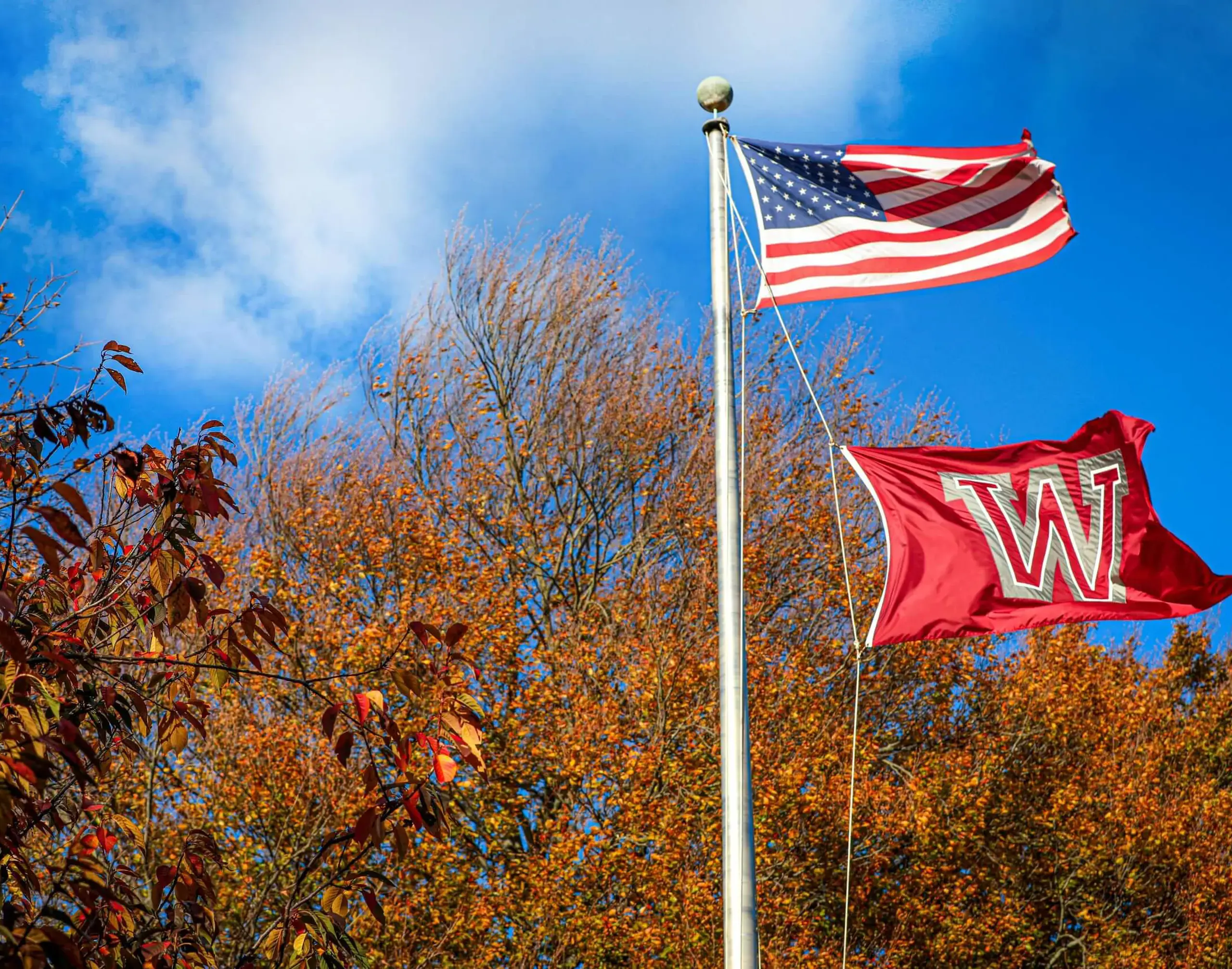 Worcester Academy Campus with fall trees and flags