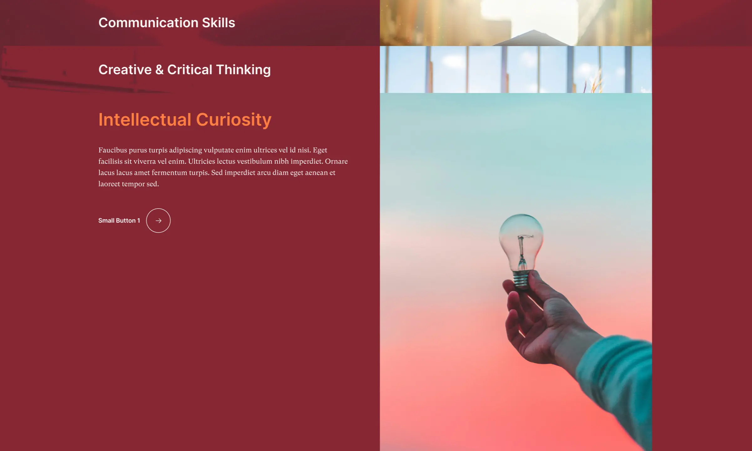 OptimizedImage,Optimized