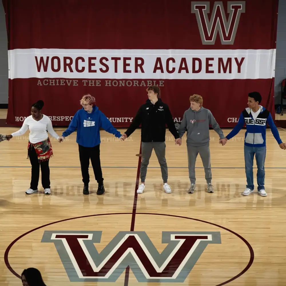 OptimizedImage,Optimized