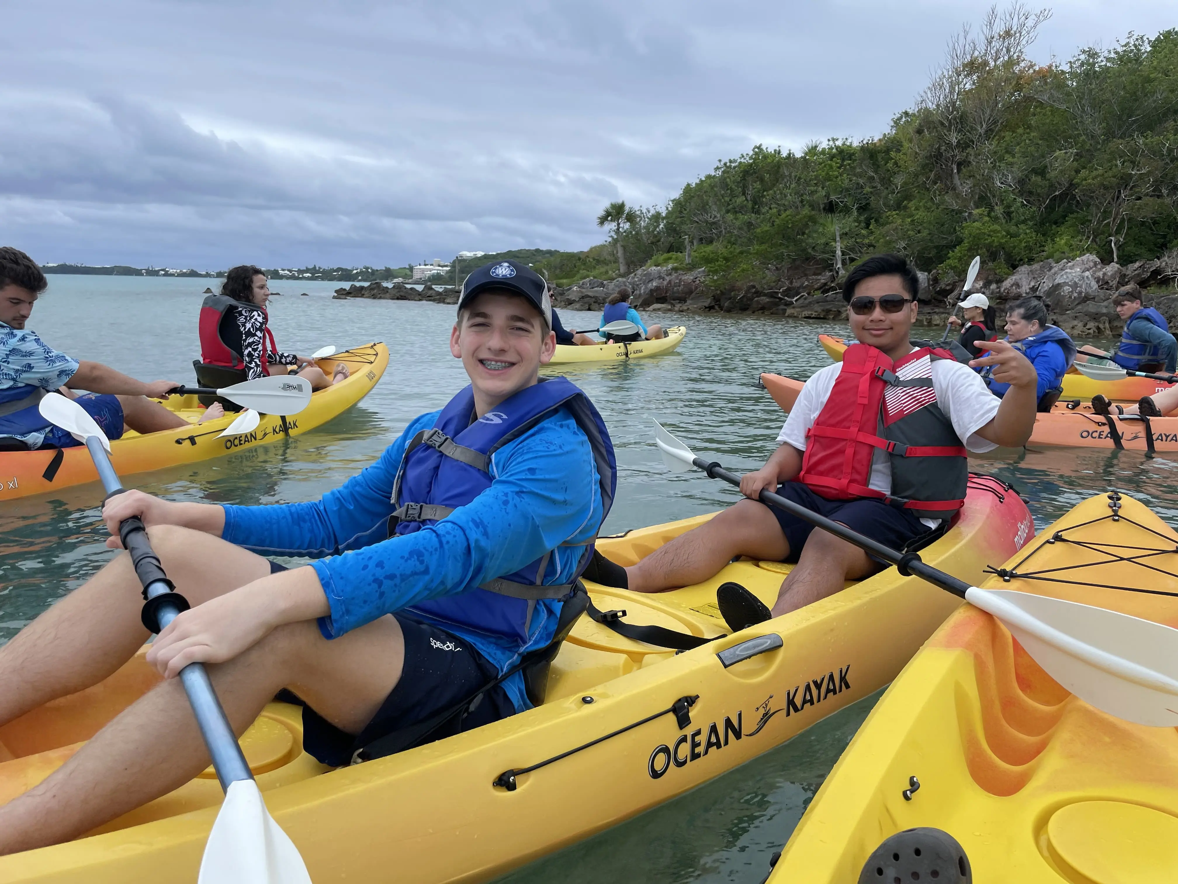 OptimizedImage,Optimized