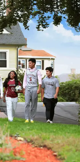  OptimizedImage,Optimized